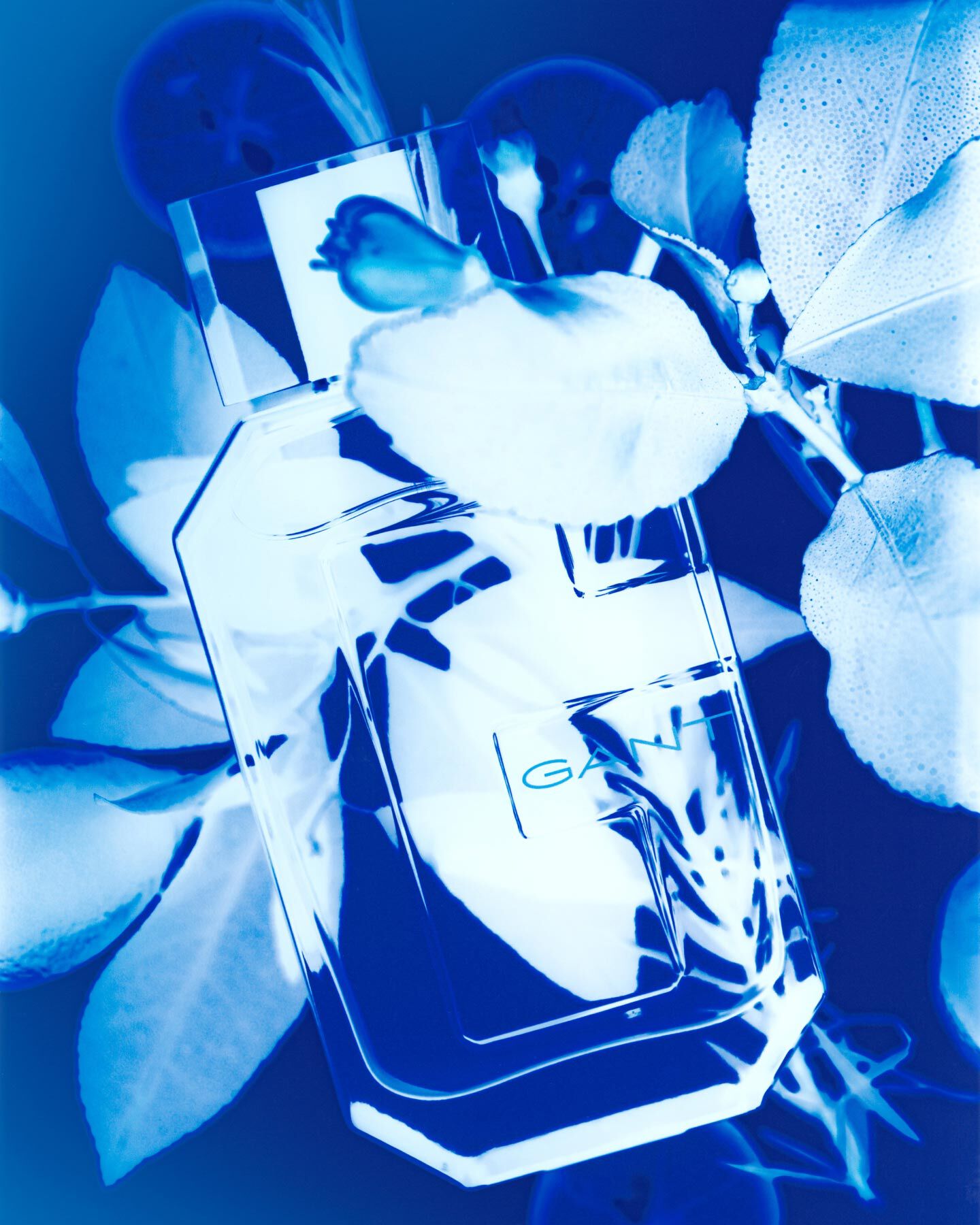 Ein Cyanotypie-Bild von Gant Fragrance.