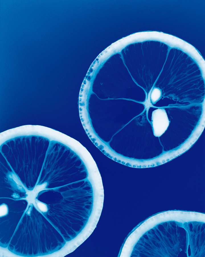 Ein GIF, das ein Cyanotypie-Bild von Zitrone und Flora zeigt, den Kopfnoten f&uuml;r Gant Fragrance.