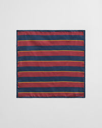 Gestreiftes Einstecktuch