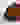 G Badge Cord Cap