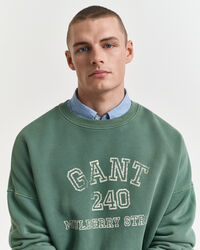 Graphic Rundhals-Sweatshirt