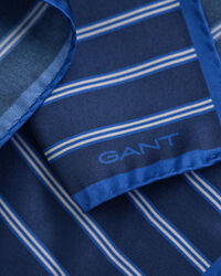 Gestreiftes Einstecktuch